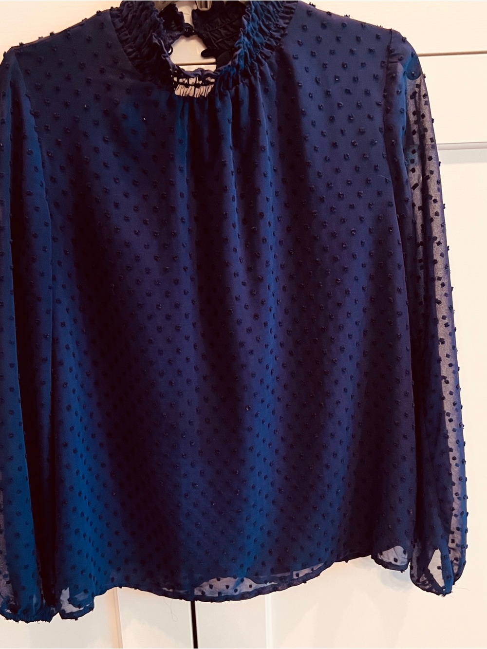 Gibson Women’s Navy Swiss Dot Sheer Long-Sleeve Blouse-xs